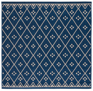 Safavieh Dorchester PowerLoomed 85.4% Polypropylene/10.4% Polyester/4.2% Latex Indoor/Outdoor Rug CY6303-258-9