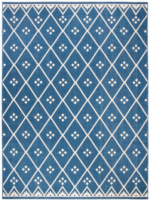 Safavieh Dorchester PowerLoomed 85.4% Polypropylene/10.4% Polyester/4.2% Latex Indoor/Outdoor Rug CY6303-258-9