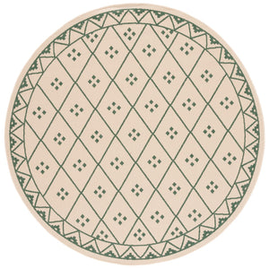 Safavieh Dorchester PowerLoomed 85.4% Polypropylene/10.4% Polyester/4.2% Latex Indoor/Outdoor Rug CY6303-322-9