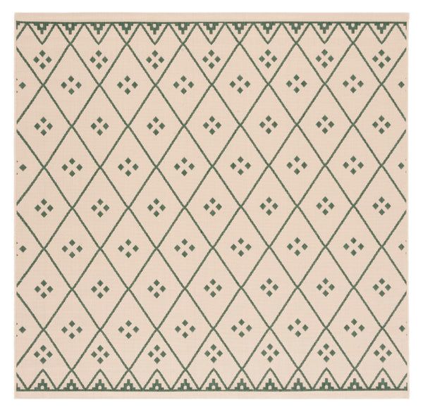 Safavieh Dorchester PowerLoomed 85.4% Polypropylene/10.4% Polyester/4.2% Latex Indoor/Outdoor Rug CY6303-322-9