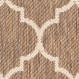 Safavieh Courtyard Power Loomed 85.4% Polypropylene/10.4% Polyester/4.2% Latex Indoor/Outdoor Rug CY6914-242-810