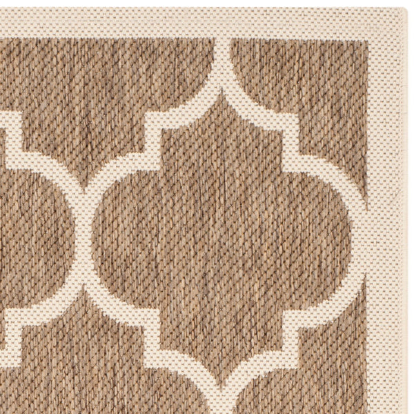 Safavieh Courtyard Power Loomed 85.4% Polypropylene/10.4% Polyester/4.2% Latex Indoor/Outdoor Rug CY6914-242-810