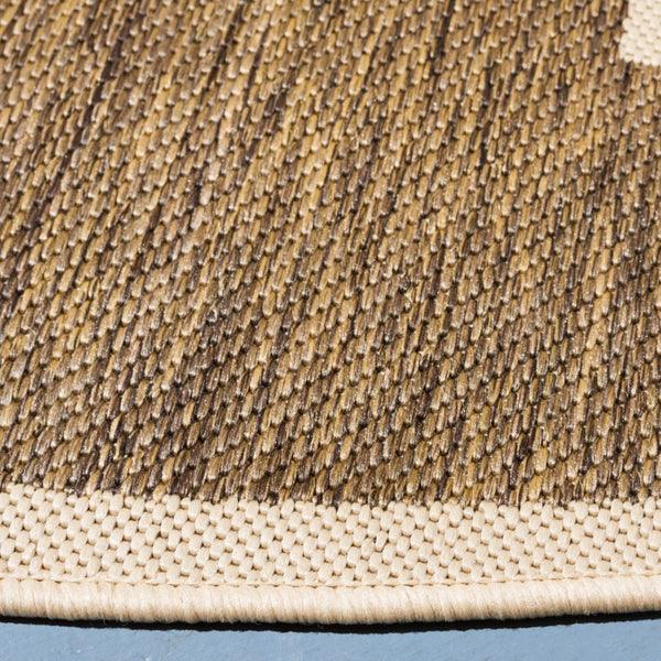 Safavieh Courtyard Power Loomed 85.4% Polypropylene/10.4% Polyester/4.2% Latex Indoor/Outdoor Rug CY6914-242-810