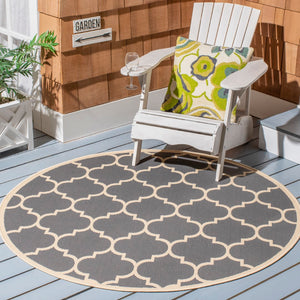 Safavieh Courtyard Power Loomed 85.4% Polypropylene/10.4% Polyester/4.2% Latex Indoor/Outdoor Rug CY6914-246-810