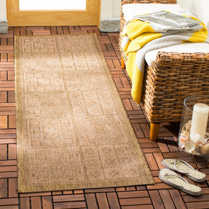 Safavieh Cy6947 Power Loomed 85.4% Polypropylene/10.4% Polyester/4.2% Latex Outdoor Rug CY6947-49-9