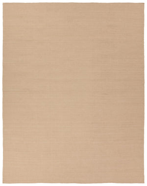 Jaipur Living Dante Cordova DAN01 Handwoven Handmade Outdoor Natural Rug Tan 9' x 12'