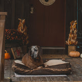 HiEnd Accents Barbwire Embroidered Dog Bed DB3190 Brown, Cream Cover: 90% polyester, 10% cotton; Fill: 100% polyester; Liner: 100% polyester. 34x23x6