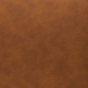 Safavieh Kayne Dining Chair DCH3010B-SET2