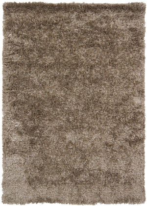 Chandra Rugs Dior 100% Polyester Hand-Woven Contemporary Shag Rug Taupe/Black 9' x 13'