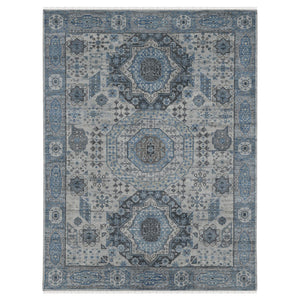 AMER Rugs Divine DIV-1 Hand-Knotted Bordered Transitional Area Rug Blue 10' x 14'