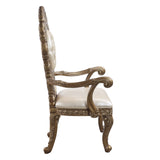 Constantine Transitional Arm Chair (Set-2)  DN00479-ACME