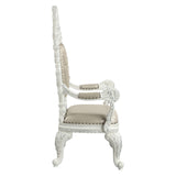 Vanaheim Transitional Arm Chair (Set-2)  DN00680-ACME