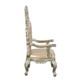 Sorina Transitional Arm Chair (Set-2)  DN01210-ACME