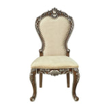 Latisha Transitional Side Chair(Set-2)  DN01358-ACME
