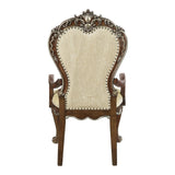 Latisha Transitional Arm Chair(Set-2)  DN01359-ACME