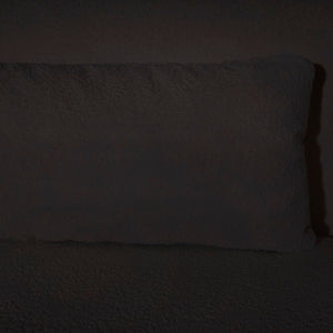 Dovetail Everett Sofa DOV12183-CHAR