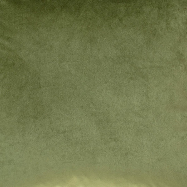 Dovetail Iris Velvet Pillow W/ Down Fill Perf Fabric DOV17029