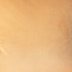 Dovetail Iris Velvet Pillow W/ Down Fill Perf Fabric DOV17109