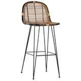 Elsie Natural Woven Rattan and Iron High Back Dining Stool, Set of 2