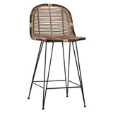 Elsie Natural Woven Rattan and Iron High Back Dining Stool, Set of 2