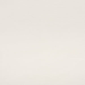 Safavieh Ryleigh 2 Drawer Desk DSK5706A