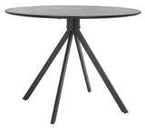 Safavieh Skyden Dining Table DTB5804A