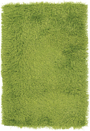 Chandra Rugs Duke 100% Polyester Hand-Woven Contemporary Shag Rug Green 9' x 13'