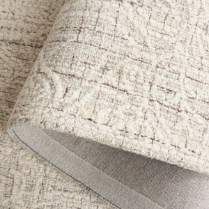 Safavieh Ebony 114 Antique Hand Tufted Rug Grey / Ivory EBN114F-8