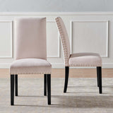 Parcel Performance Velvet Dining Side Chairs - Set of 2 Pink EEI-3779-PNK