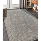 AMER Rugs Empress EMP-2 Hand-Knotted Bordered Classic Area Rug Gray 10' x 14'
