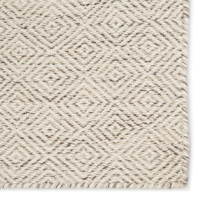 Jaipur Living Enclave Bramble ENC03 Handwoven Handmade Indoor Contemporary Rug Ivory 4' x 6'