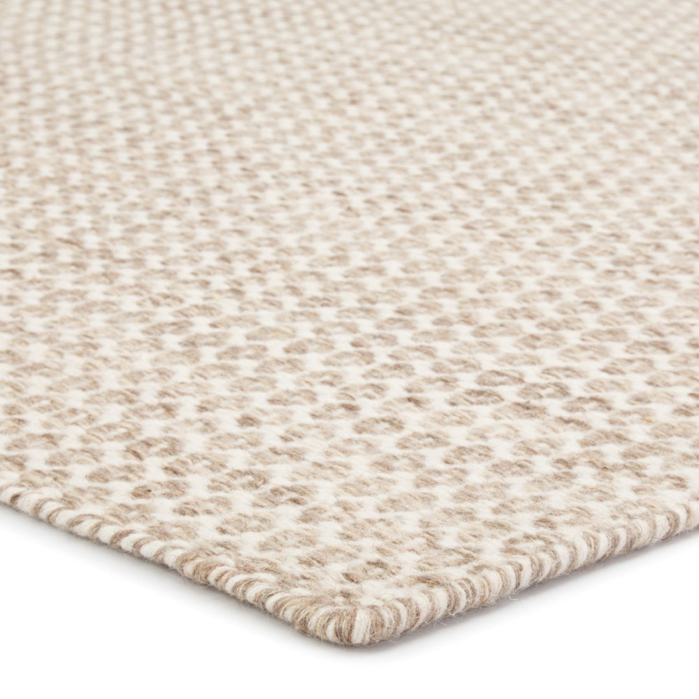 Jaipur Living Enclave Pompano ENC04 Handwoven Handmade Indoor Contemporary Rug Beige  4' x 6'
