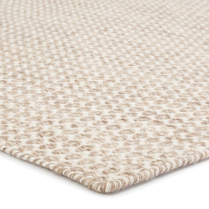Jaipur Living Enclave Pompano ENC04 Handwoven Handmade Indoor Contemporary Rug Beige  4' x 6'