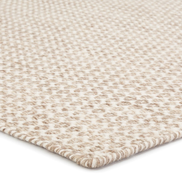 Jaipur Living Enclave Pompano ENC04 Handwoven Handmade Indoor Contemporary Rug Beige  4' x 6'