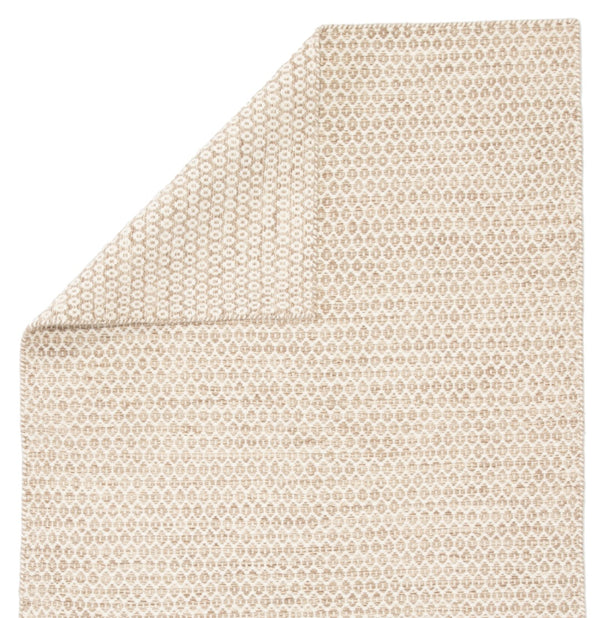 Jaipur Living Enclave Pompano ENC04 Handwoven Handmade Indoor Contemporary Rug Beige  4' x 6'