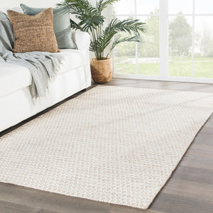 Jaipur Living Enclave Pompano ENC04 Handwoven Handmade Indoor Contemporary Rug Beige  4' x 6'