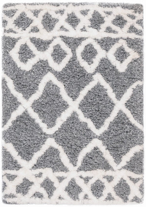 Safavieh Equinox Shag 711 Hand Tufted Polyester Rug EQS711F-4