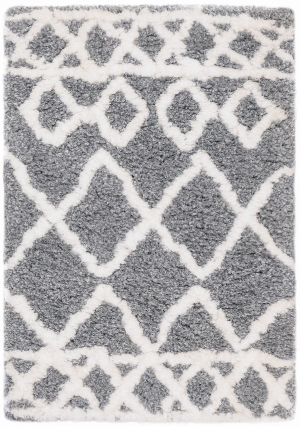Safavieh Equinox Shag 711 Hand Tufted Polyester Rug EQS711F-4
