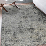 AMER Rugs Fairmont FAI-2 Power-Loomed Floral Transitional Area Rug Gray 9'3" x 12'3"
