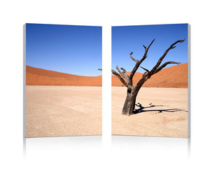 Baxton Studio Desert Solitude Mounted Photography Print Diptych