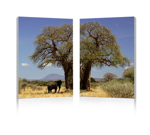 Baxton Studio Tree of Life Mounted Photography Print Diptych