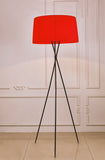 Paige Floor Lamp Red Carbon Steel And Fabric