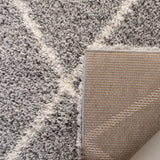 Safavieh Fontana Shag 815 Power Loomed Polypropylene Pile Shag & Flokati Rug FNT815G-6