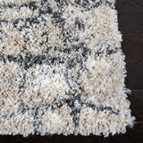 Safavieh Fontana Shag 851 Power Loomed Polypropylene Pile Shag & Flokati Rug FNT851A-9