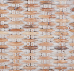 Safavieh Suncoast Arm Chair W/ Cushion FOX6540A-SET2