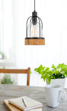 Cal Lighting 60W Beacon Glass Pendant(Edison Bulbs Not Included) FX-3584-1P Black FX-3584-1P