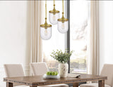 Cal Lighting 60W Ithaca Bubbled Glass Pendant Fixture FX-3785-1 Clear FX-3785-1