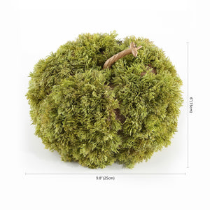 Safavieh Faux 10 Inch Moss Pumpkin FXP1067A