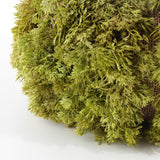 Safavieh Faux 10 Inch Moss Pumpkin FXP1067A