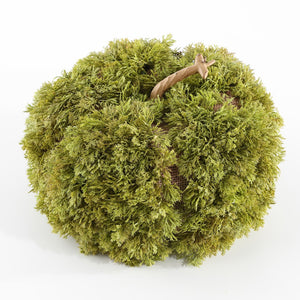 Safavieh Faux 10 Inch Moss Pumpkin FXP1067A